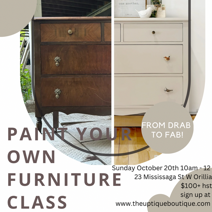 Paint Your Own Furniture Class Workshop October 20/2024