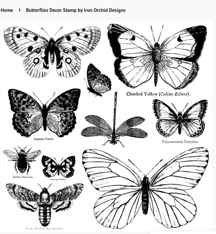 Butterflies IOD Stamp 12 x 12